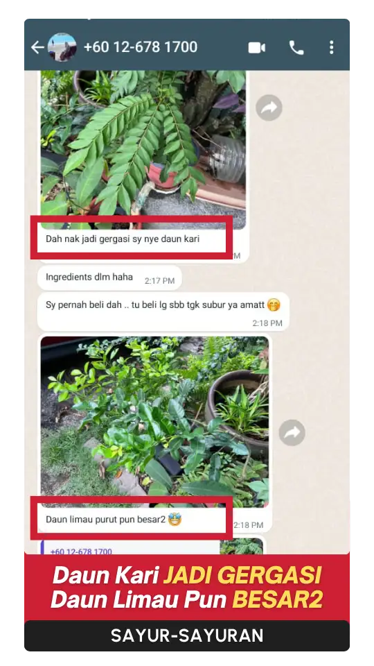 Testimoni-Sayur-2.webp